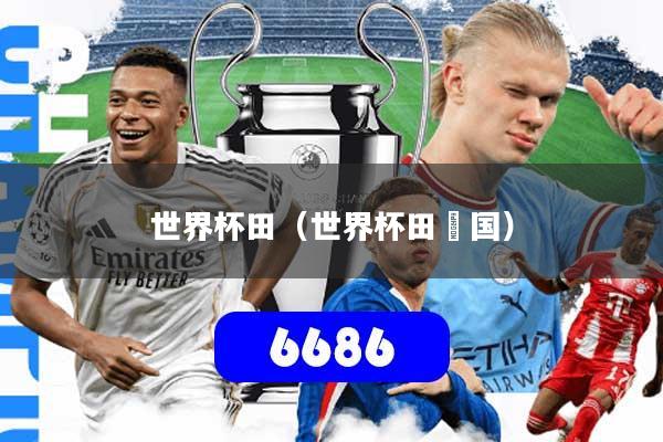 世界杯田（世界杯田柾国）